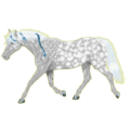 Reitpferd Mustang Hellgrau