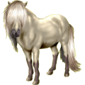 Pegasus-Pony Shetlandpony Palomino
