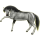Reitpferd Lusitano Apfelschimmel