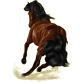 Reitpferd Don-Pferd Fuchs