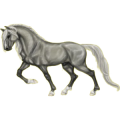 Reitpferd Hellgrau