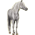 Pony Quarter Pony Hellgrau