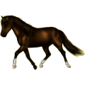 Pony Deutsches Reitpony Dunkelfuchs
