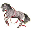 Reitpferd Andalusier Hellgrau