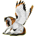 Pegasus-Reitpferd Trakehner Rappe