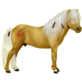 Pony Shetlandpony Palomino