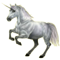 Einhorn-Reitpferd Araber Apfelschimmel