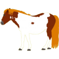Pony Deutsches Reitpony Fuchs