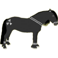 Reitpferd Araber Forellenschimmel