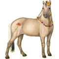Pony Quarter Pony Apfelschimmel