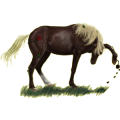 Pony Welsh Cob Hellgrau