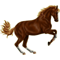 Pony Deutsches Reitpony Fuchs