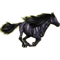 Reitpferd Araber Rotbrauner