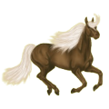 Reitpferd Araber Rappe