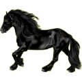 Reitpferd Friese Rappe