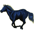 Reitpferd Araber Fuchs