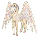 Pegasus-Reitpferd Araber Hellgrau