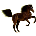 Reitpferd Holsteiner Fuchs