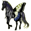 Pegasus-Reitpferd Andalusier Hellgrau