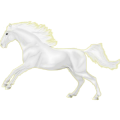 Reitpferd Araber Hellgrau