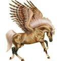 Pegasus-Reitpferd Argentinischer Criollo Fuchs