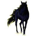 Reitpferd Mustang Fuchs mit heller Mähne