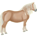 Pony Haflinger Fuchs mit heller Mähne