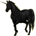 Einhorn-Reitpferd Araber Rappe