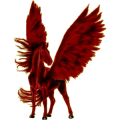 Pegasus-Reitpferd Marwari Fuchs