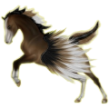 Pegasus-Reitpferd Lipizzaner Dunkelbrauner