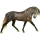 Reitpferd Oldenburger Apfelschimmel