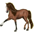 Reitpferd Oldenburger Roan