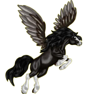 Pegasus-Reitpferd Araber Rappe