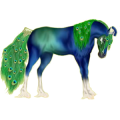 Reitpferd Marwari Fuchs