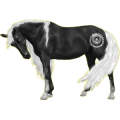 Reitpferd Lusitano Falbe