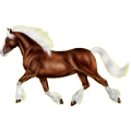 Reitpferd Oldenburger Rappe