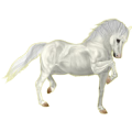 Pony Shetlandpony Dunkelfuchs