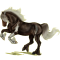Pony Neufundland Pony Hellgrau