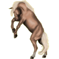 Reitpferd Hannoveraner Brauner