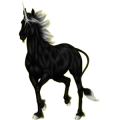 Einhorn-Pony Welsh Cob Apfelschimmel
