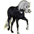 Pony Welsh Cob Apfelschimmel