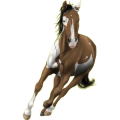 Reitpferd Paint Horse Dunkelfuchs mit Tobiano-Scheckung