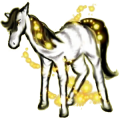 Reitpferd Araber Fuchs