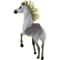 Reitpferd Andalusier Rotbrauner