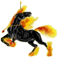 Einhorn-Reitpferd Araber Brauner