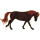 Reitpferd Friese Rappe