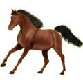 Reitpferd Holsteiner Brauner