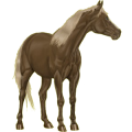 Pony Deutsches Reitpony Dunkelfuchs mit heller Mähne