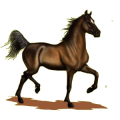 Pony Haflinger Fuchs mit heller Mähne