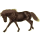 Pegasus-Reitpferd Isländer Dunkelfuchs